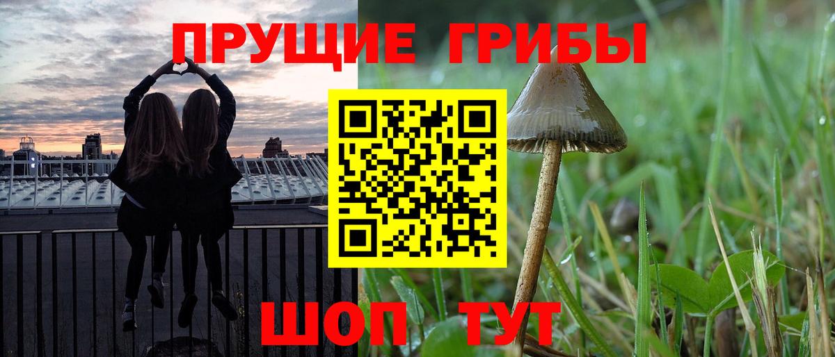 Северск  купить наркотик  Вход с VPN  Псилоцибиновые грибы ЛСД  Псилоцибиновые грибы прущие грибы 