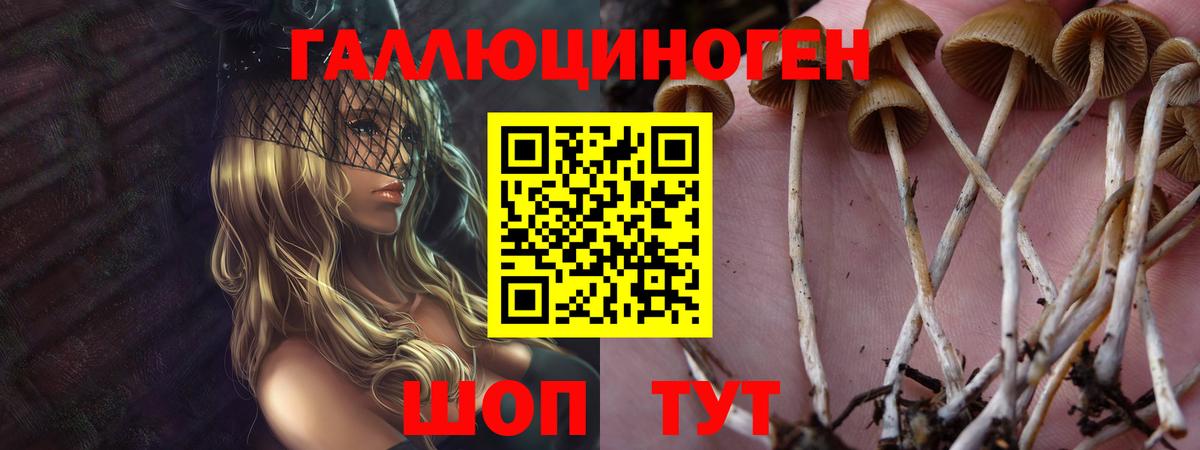 Псилоцибиновые грибы MAGIC MUSHROOMS Северск