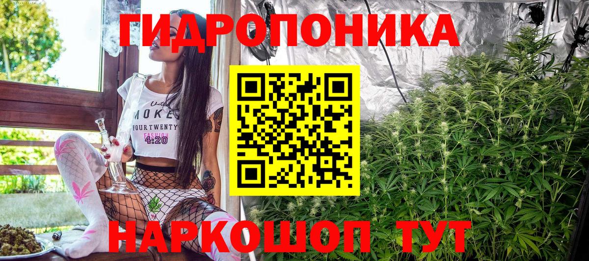Бошки Шишки конопля  Вход с VPN  Шишки марихуана ГИДРОПОН  Северск 
